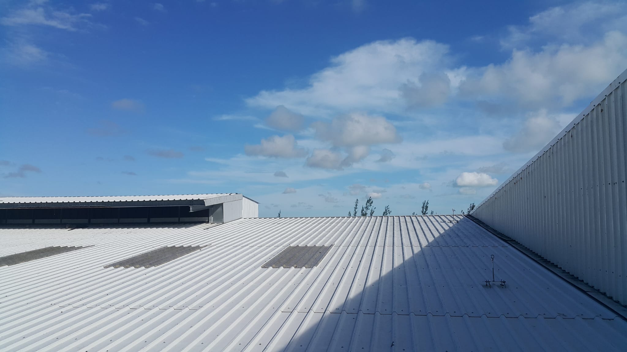 Commercial roof with metal panels and rooflights
